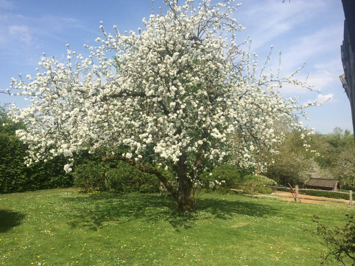 Le Jardin Des Sources La Hulpe Exterior foto